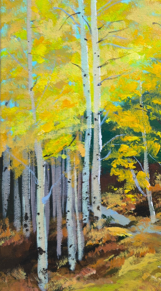 Autumn of the Birches - Canvista