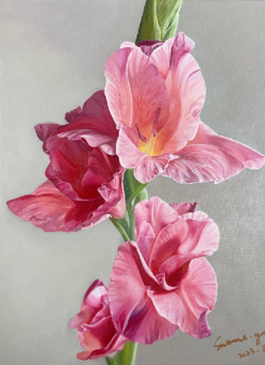 Pink Gladiolus - Canvista